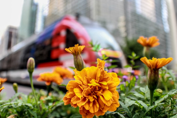 LRM_EXPORT_20170510_221645